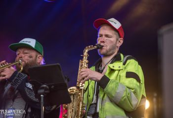Rehupiikles - Photo by Dänu