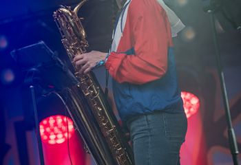 Rehupiikles - Photo by Dänu