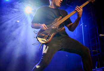 Roses of Thieves - Photo By Peti