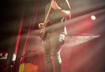 Roses of Thieves - Photo By Peti