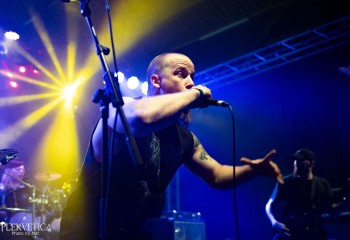 Short Bus Pile Up - Photo by Natalie