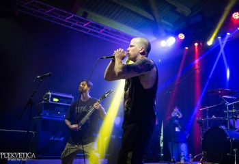 Short Bus Pile Up - Photo by Natalie