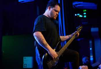 Signs of the Swarm - Photo By Peti