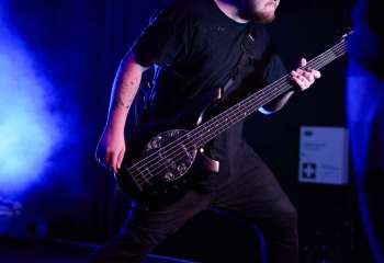 Signs of the Swarm - Photo By Peti