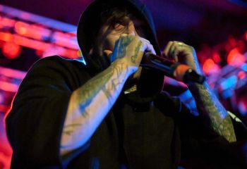 Signs of the Swarm - Photo By Peti