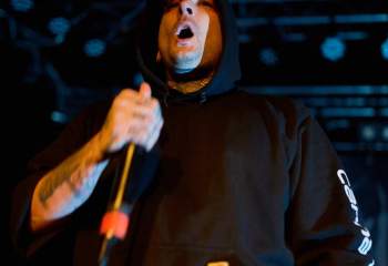 Signs of the Swarm - Photo By Peti