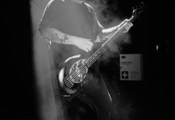 Signs of the Swarm - Photo By Peti