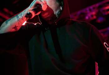 Signs of the Swarm - Photo By Peti