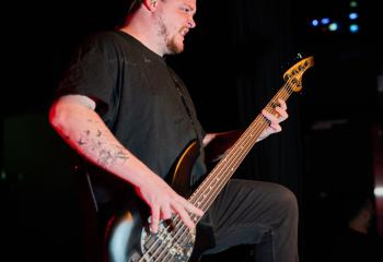 Signs of the Swarm - Photo By Peti