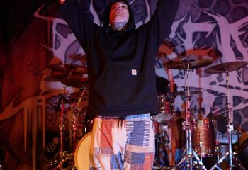 Signs of the Swarm - Photo By Peti