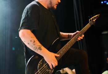 Signs of the Swarm - Photo By Peti