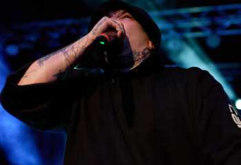 Signs of the Swarm - Photo By Peti