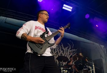 Slowly Rotten - Photo by Natalie