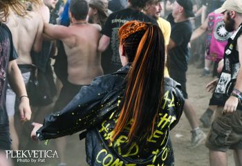 Stellvris - Photo by Pat