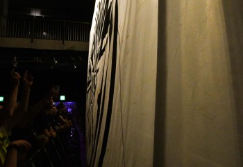 The Baboon Show - Photo by Pat