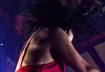 The Baboon Show - Photo by Pat