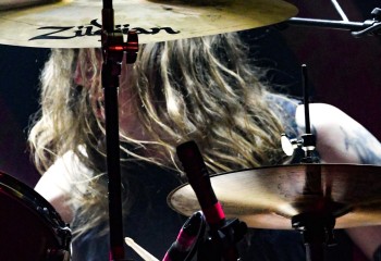 The Baboon Show - Photo by Pat