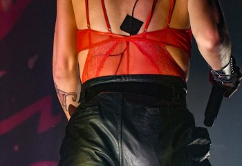 The Baboon Show - Photo by Pat