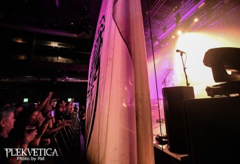 The Baboon Show - Photo by Pat