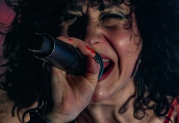 The Baboon Show - Photo by Pat