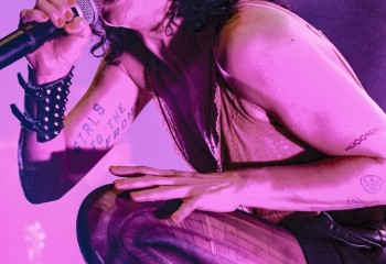 The Baboon Show - Photo by Pat