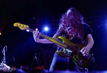 Brat - Photo by Natalie