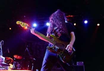 Brat - Photo by Natalie