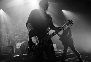 The Halo Effect - Photo By Peti