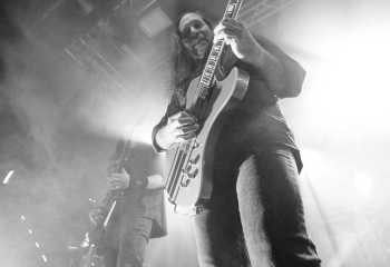 The Halo Effect - Photo By Peti