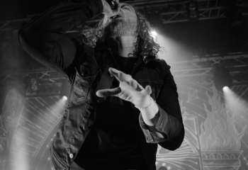 The Halo Effect - Photo By Peti