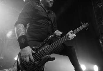 The Halo Effect - Photo By Peti