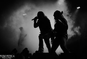 21.45 The Halo Effect - Photo By Peti