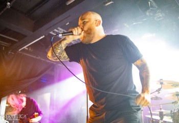 The Zenith Passage - Photo by Natalie