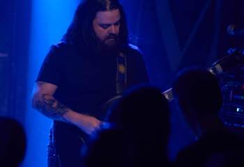 Tulip - Photo By Peti