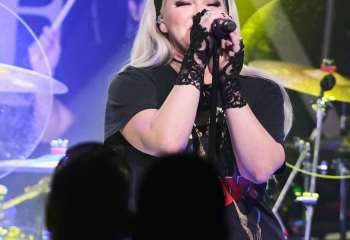 Tulip - Photo By Peti