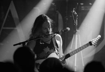 Tulip - Photo By Peti