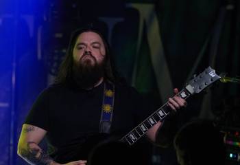 Tulip - Photo By Peti