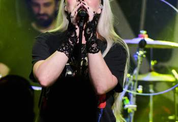 Tulip - Photo By Peti