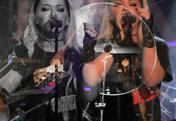 Tulip - Photo By Peti