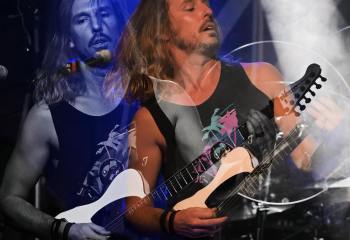 Tulip - Photo By Peti