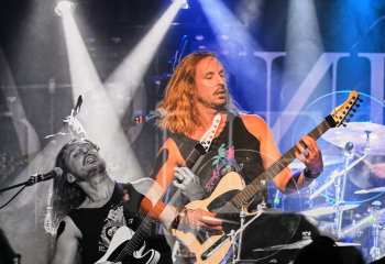 Tulip - Photo By Peti