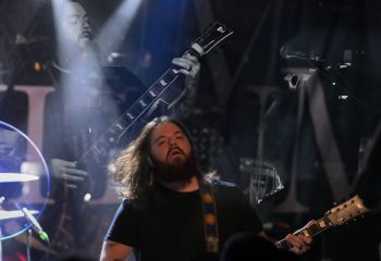 Tulip - Photo By Peti