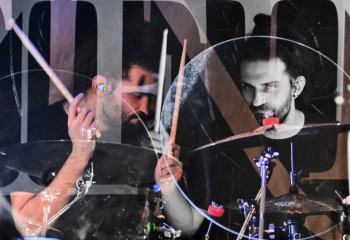 Tulip - Photo By Peti