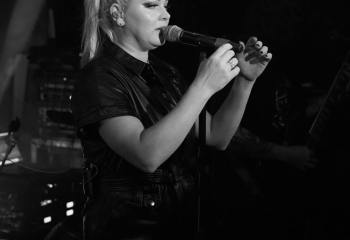 Tulip - Photo By Peti