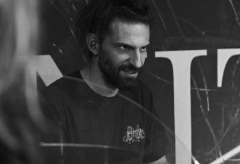 Tulip - Photo By Peti