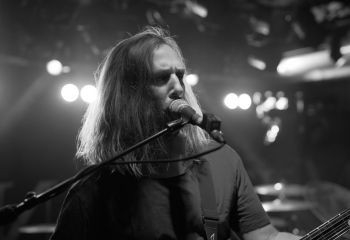 Tulip - Photo By Peti