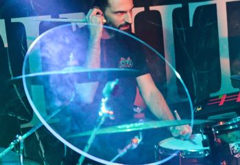 Tulip - Photo By Peti