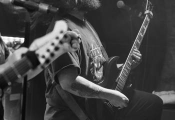 Tulip - Photo By Peti