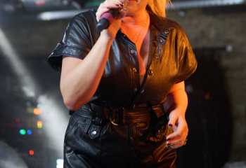 Tulip - Photo By Peti