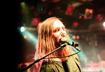 Tulip - Photo By Peti